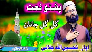 Gul Gul janan lari pashto naat 2024 by Qari Tahseen UllahAJ studio Ramora [upl. by Pascale978]