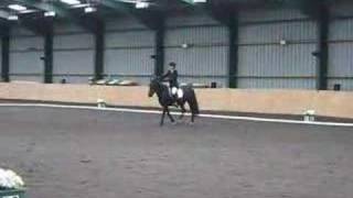 dressage preliminary test 7 jet [upl. by Alekal780]