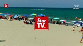 Woman recovering after shark drama [upl. by Atnicaj699]