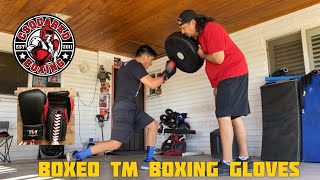 PUNCH SHIELD HEAVY BAG TRAINING Boxeo TM Torres Medina Boxing Gloves [upl. by Idden755]