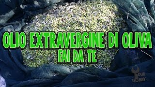 OLIO EXTRAVERGINE DI OLIVA FAI DA TE [upl. by Duffy]