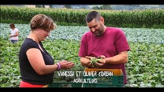 Cornichons Français Episode 1  Rencontre avec les hommes et femmes de la filière [upl. by Lebasile634]