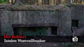 Westwall near Aachen tank traps  Siegfried Line [upl. by Nivek752]