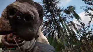 Stalker 2 Heart of ChernobylTrailer officiel de gameplayGamescom 2023 [upl. by Sianna]