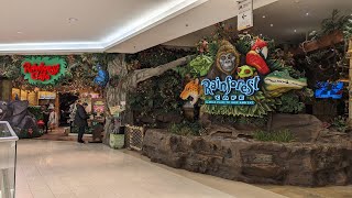 The Rainforest Cafe in the Mall of America in Minneapolis MN [upl. by Braca]