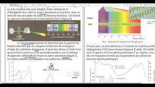 94  Le spectre dabsorption de la chlorophylle brute [upl. by Aidas]