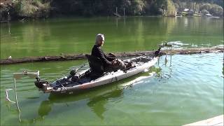 Using Twin Oscillating Hydrofoils to propel a boat with very little energy [upl. by Luing164]