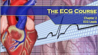 The ECG Course  Leads [upl. by Japheth804]