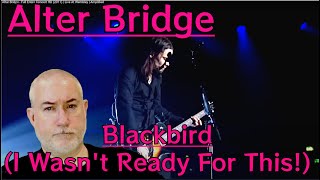 Alter Bridge  Blackbird Live  Wembley 2011  Margarita Kid Reacts [upl. by Odlanar637]