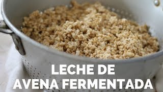 Leche de AVENA FERMENTADA  una guía completa [upl. by Eolanda]