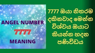 Angel Number 7777 Meaning in Sinhala [upl. by Meng]