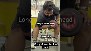 Concentration curls how to do concentration curls biceps workout shorts short subscribe like [upl. by Iila526]