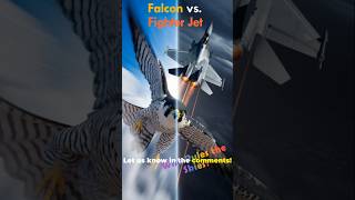 Falcon vs Fighter Jet shorts falcon [upl. by Atsylak]