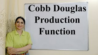 Cobb Douglas Production Function [upl. by Toombs548]