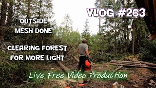 Outside chinking mesh done Clearing forest behind the log cabin Vlog 263  S6 [upl. by Brandy2]