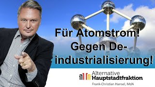 Für Atomstrom  gegen Deindustrialisierung [upl. by Ilahsiav]