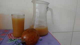 Suco de jenipapo suco que auxilia no emagrecimento e seus benefícios [upl. by Ahsrats831]