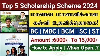 Top 5 Scholarship Scheme Students 2024  Scholarship 2024  scholarship tamil 2024  bc mbc sc st [upl. by Gabi]