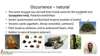 Terpenes Occurrence and Isoprene Rule [upl. by Sakiv]