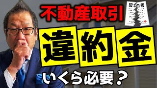 【購入検討者向け】不動産の「申込み・契約」はキャンセルできるのか？詳しく解説します！ [upl. by Trevar]