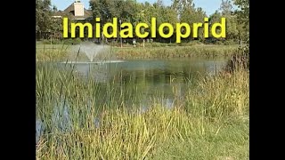 Imidacloprid [upl. by Jolyn712]