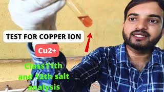 Test for copper Cu2 ion salt analysis for cation class12thpractical a2zpractical991 [upl. by Eceer]