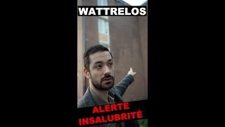 Alerte insalubrité à Beaulieu Wattrelos [upl. by Tynan]