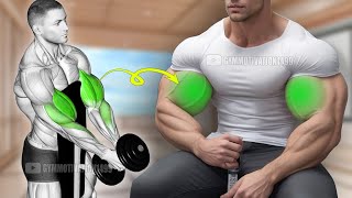 6 Exercises to Get Huge Biceps Fastest [upl. by James934]