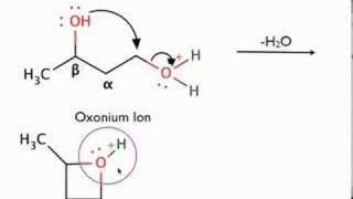 Organic Chemistry  Mechanism of Diol Cyclization [upl. by Yeaton294]