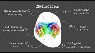 Nomenclatura y clasificación de enzimas [upl. by Hugh]