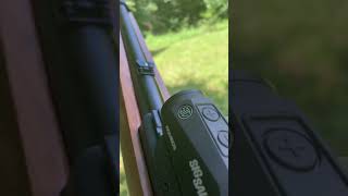 Testing out Sigg Romeo five red dot 1022 rifle Ruger [upl. by Averil]