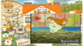 Hamtaro Opening 2 En Español Latino HD [upl. by Kassab]