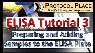 ELISA Tutorial 3 Preparing and Adding Samples to the ELISA Plate [upl. by Blackman]