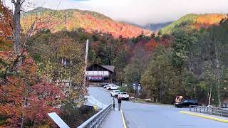 Fall Foliage in the Adirondacks adirondacks  nature travel youtubevideos videofeed ytvideo [upl. by Namus593]