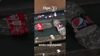 Recicladoras reciben devolución de impuestos [upl. by Ariek]