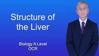 A Level Biology Revision Year 13 quotStructure of the Liverquot [upl. by Kordula765]