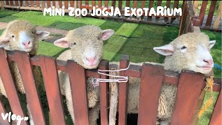 DOMBANYA MIRIP LABUBU 🫣😨 JALANJALAN DI MINI ZOO JOGJA EXOTARIUM🐇🐩🐑 [upl. by Repinuj]