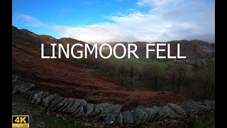 LINGMOOR FELL  ELTERWATER  SOUTHERN FELLS  THE LAKE DISTRICT  WAINWRIGHT [upl. by Eedya]