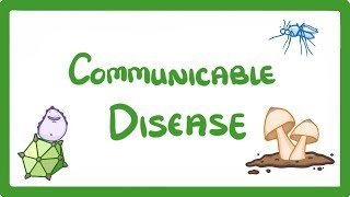 GCSE Biology  Communicable Disease 34 [upl. by Ploch289]