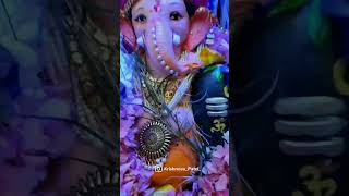 o ganaraya✨ Jay Dev jay Dev 💫 youtubeshorts viral trending shortvideo ganpati [upl. by Norrv]