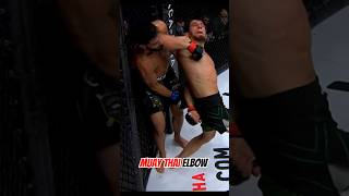 Muay Thai elbow blow 🥊 muaythai mma punch [upl. by Len346]