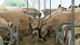 Agriculture  Le salon TechElevage 2016 Vendée [upl. by Rednas]