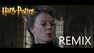 HARRY POTTER REMIX  BABBLING BUMBLING BAND OF BABOONS [upl. by Llejk606]