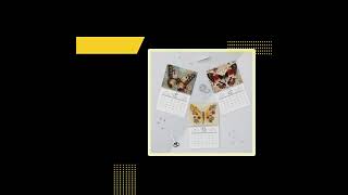 Charming 2025 Wall Calendar with Butterfly Designs Perfect Paper Stationery for Holidays [upl. by Oakie]