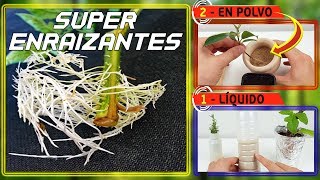 ⚠️⚠️ SuPeR EnRaIZaNTe NaTuRaL l 2 FoRMaS DE HaCeRLo Sólido y Líquido  Hormonas enraizantes [upl. by Nary115]