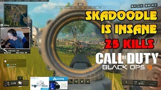 SKADOODLE IS INSANE  25 KILLS ON BLACKOUT  COD BLACK OPS 4 BR PC 111318 [upl. by Lolita]