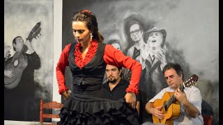 Flamenco en Tablao LA CARBONERIA  Sevilla HD [upl. by Dedric]