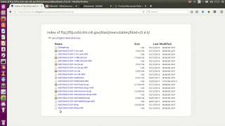 NCBI Blast installation including how to set up a database of sequences [upl. by Dranreb]