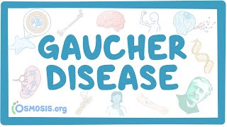 Gaucher disease  causes symptoms diagnosis treatment pathology [upl. by Fina487]