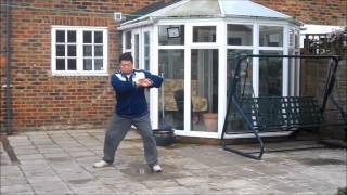 Master Fei Bing  Chen Style Tai Chi 83 Part 23 [upl. by Denyse]